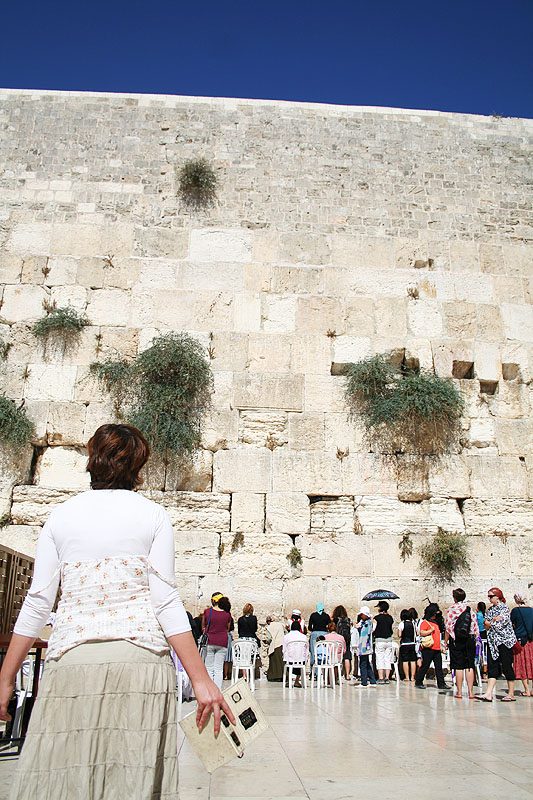 The Wall