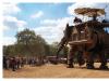 Sultan's Elephant I