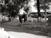 Cemetery Kick