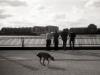 3-Legged Dog and Suits